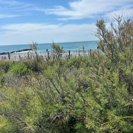 Le 209, 3min à Pieds De La Plage, Confort, Terrasse, 2 Parking Privée Apartamento *