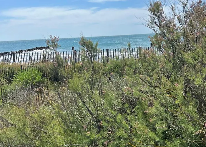 Le 209, 3min A Pieds De La Plage, Confort, Terrasse, 2 Parking Privee Apartment *